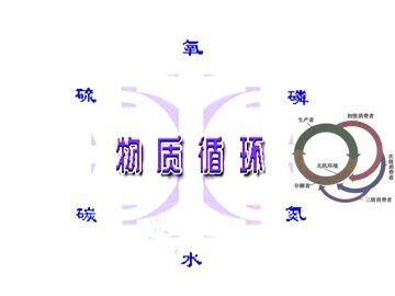 生物高中必修3第五章第三节课件8