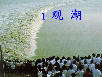 1  观潮