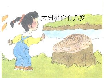 大树桩你有几岁_课件1