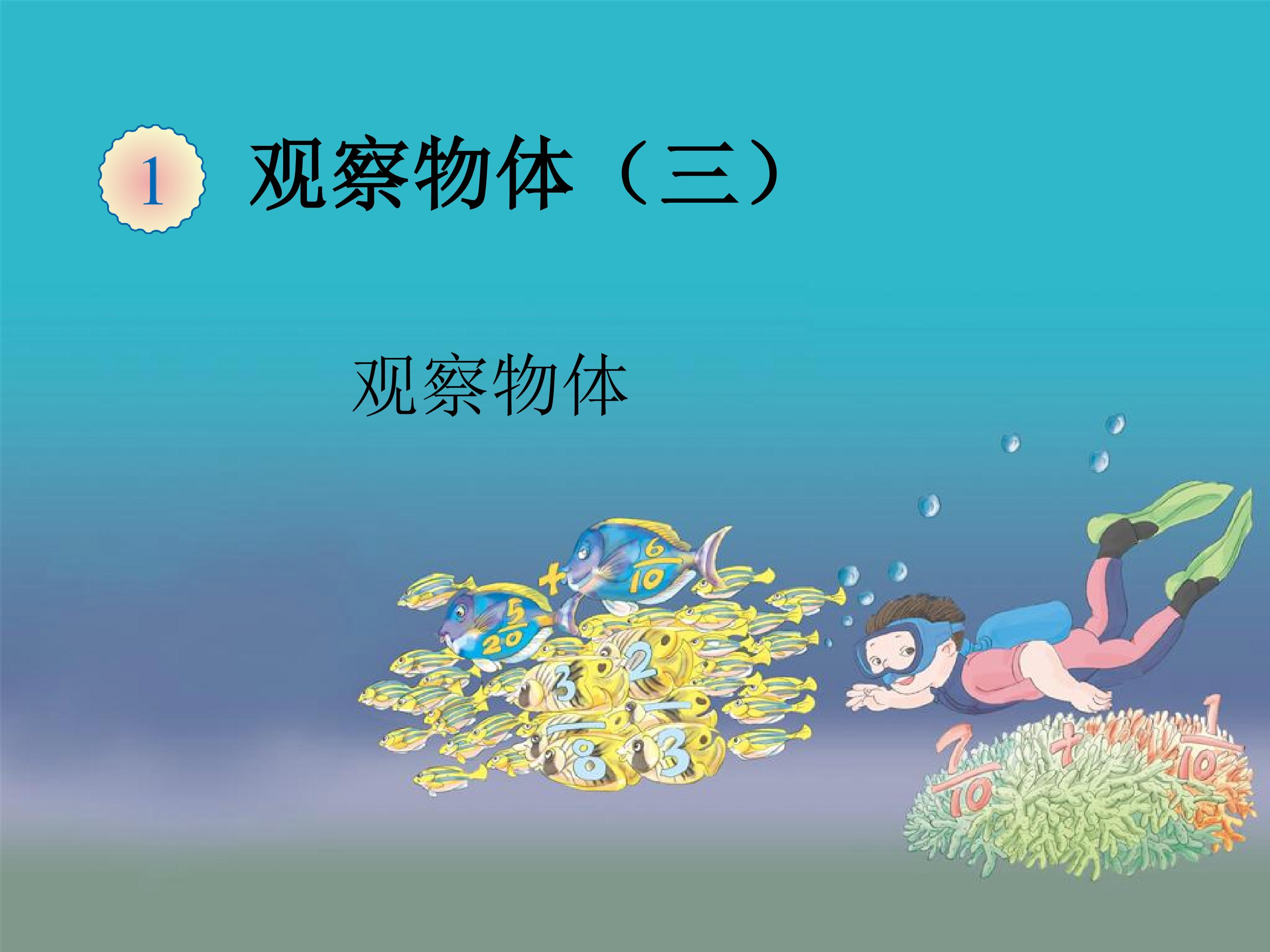 观察物体（三） 教材光盘_课件2