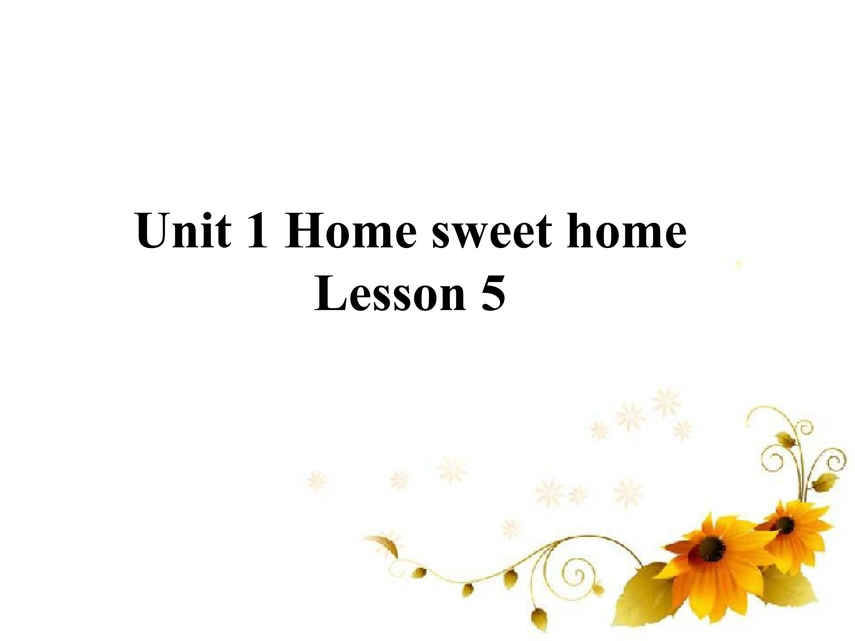 Unit 1 Home sweet home  Lesson 5