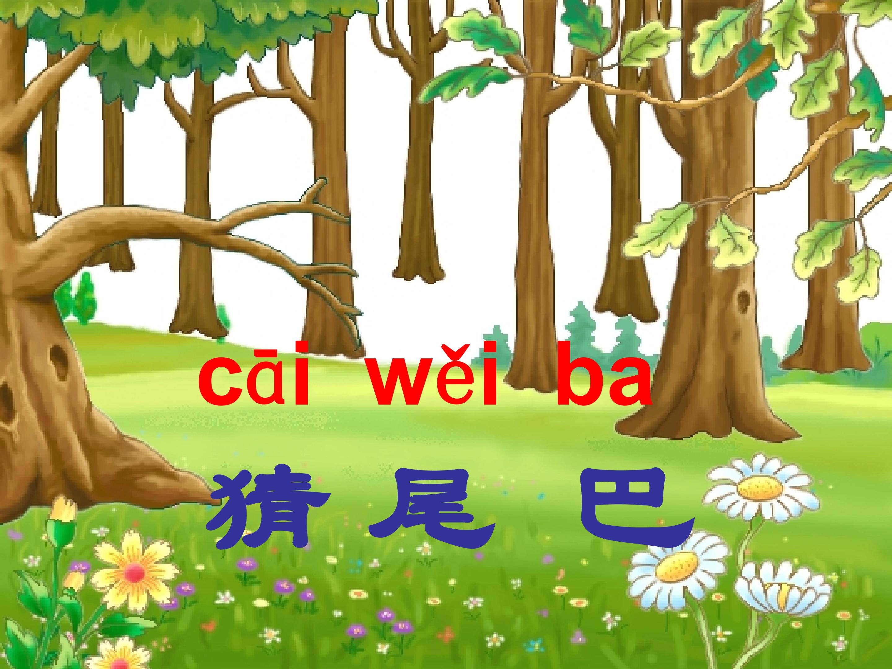 18.jpg