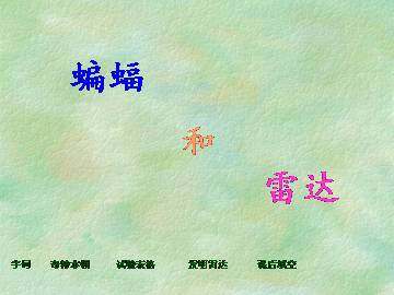 蝙蝠和雷达_课件1