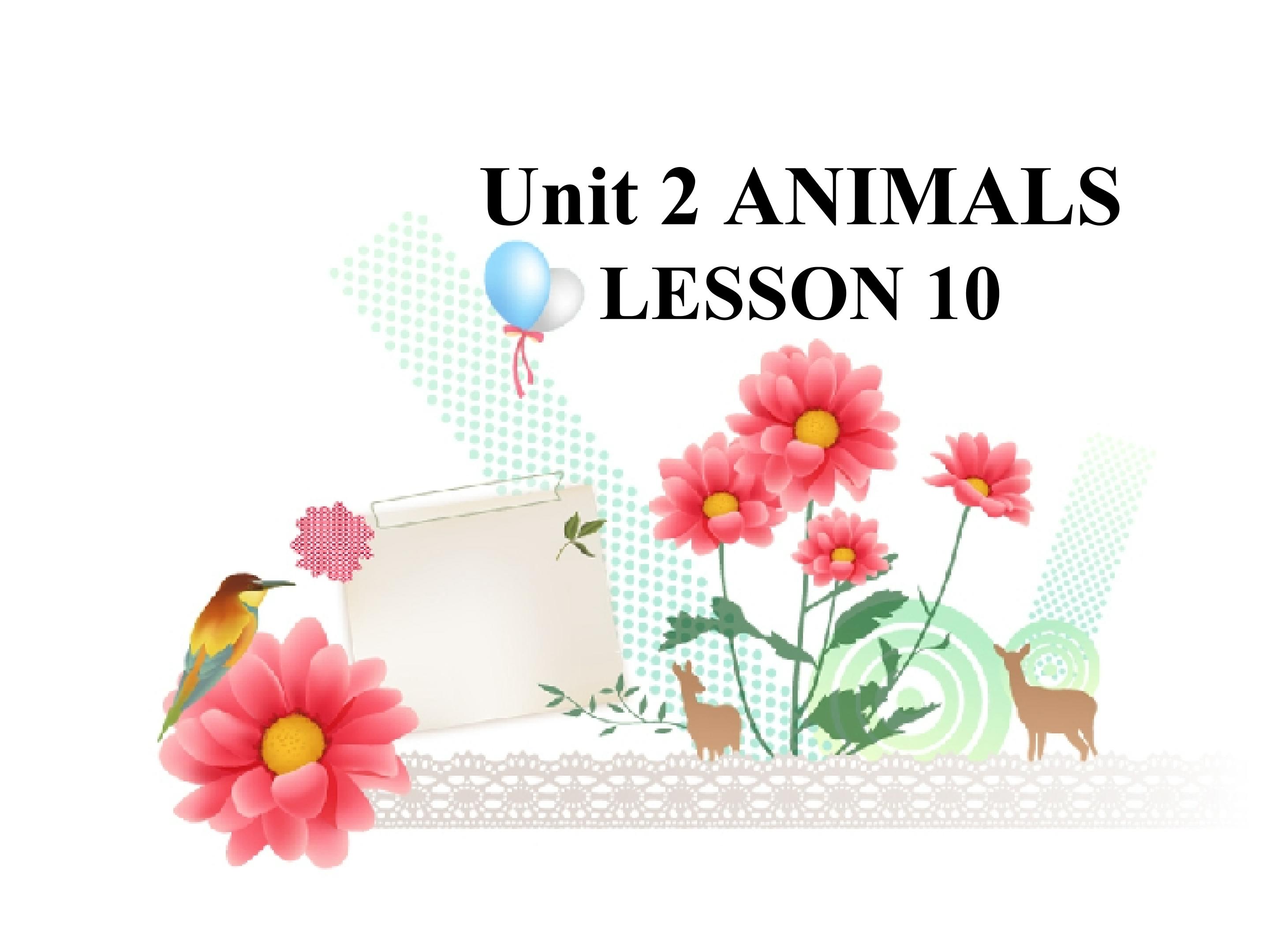 Unit 2 ANIMALS LESSON 10 课件