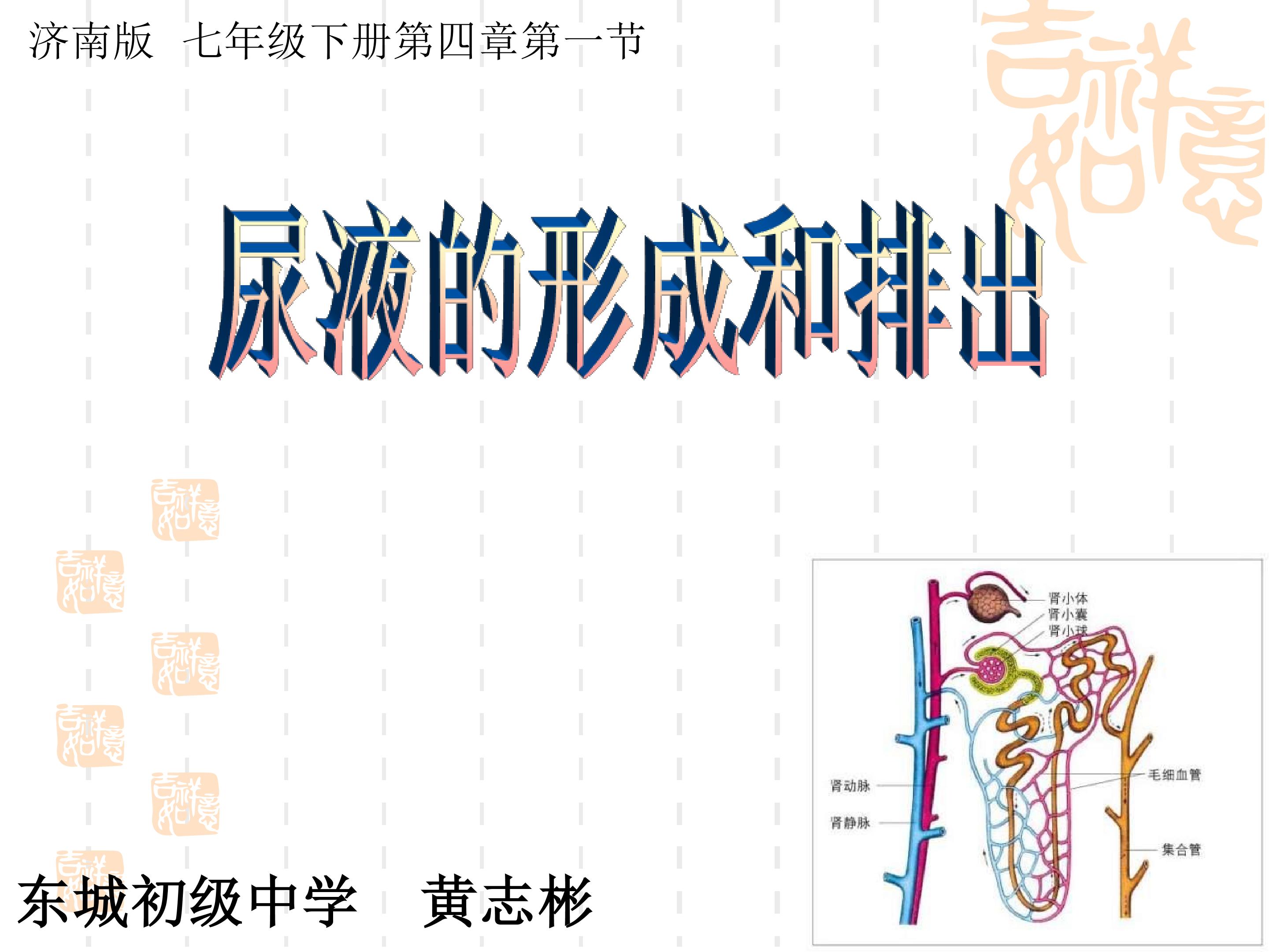 课件设计-黄志彬-初中生物-尿液的形成和排出