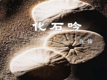 化石吟_课件9