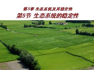 生物高中必修3第五章第五节课件2