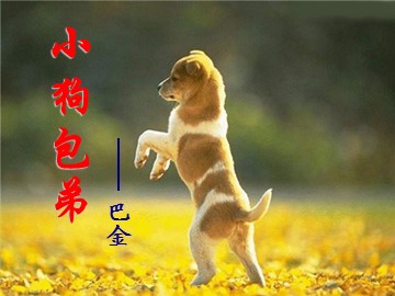 包弟  公开课二