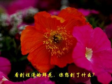 女娲造人_课件3