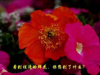 女娲造人_课件3