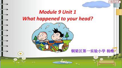 What happened to your head?