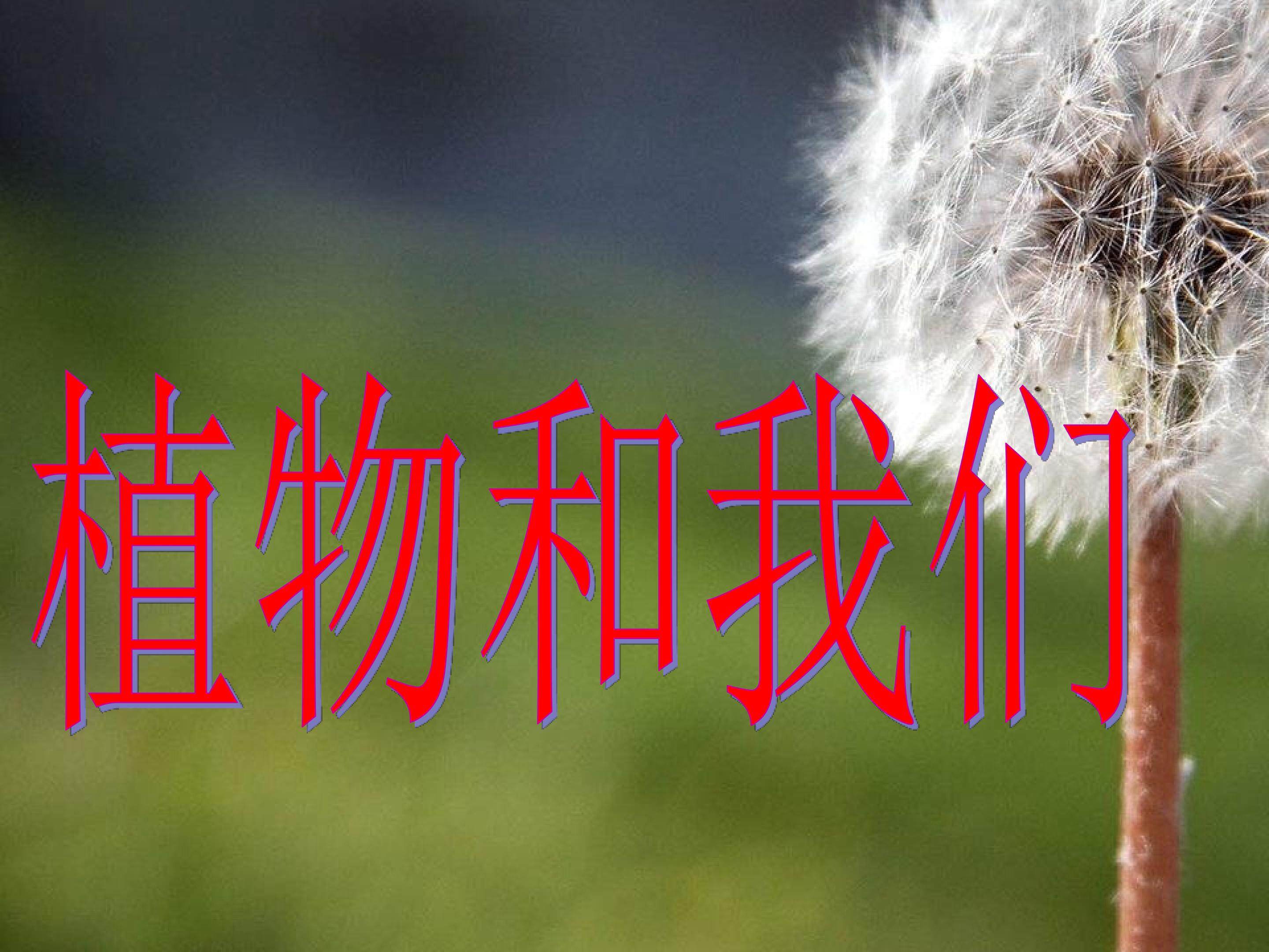 植物和我们_课件1