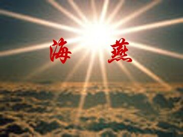 海燕_课件13