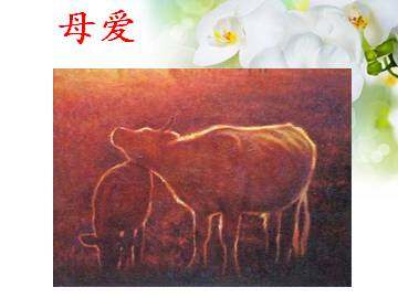 母爱_课件1