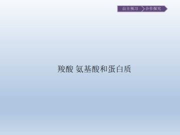 羧酸 氨基酸和蛋白质_课件1
