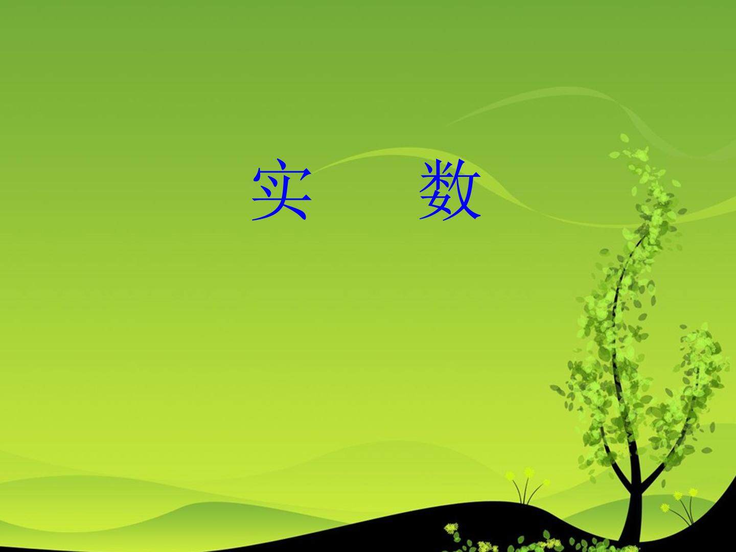 实数_课件2