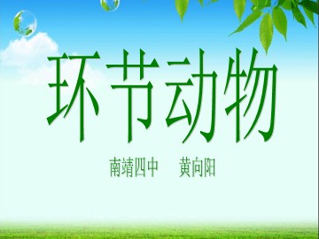 南靖四中初中生物黄向阳《环节动物》课件