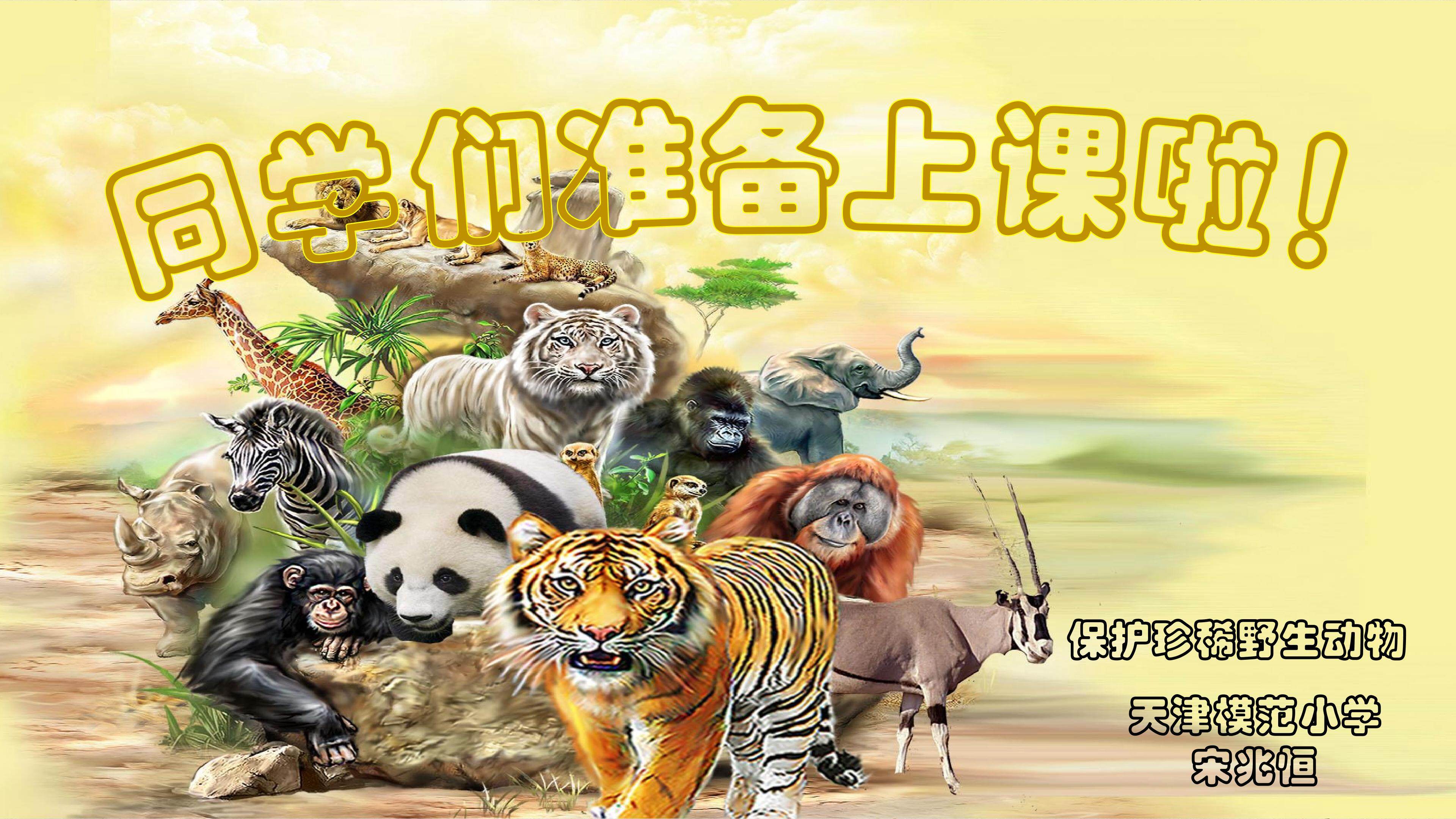 保护珍稀野生动物