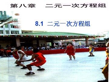 8.1 二元一次方程组