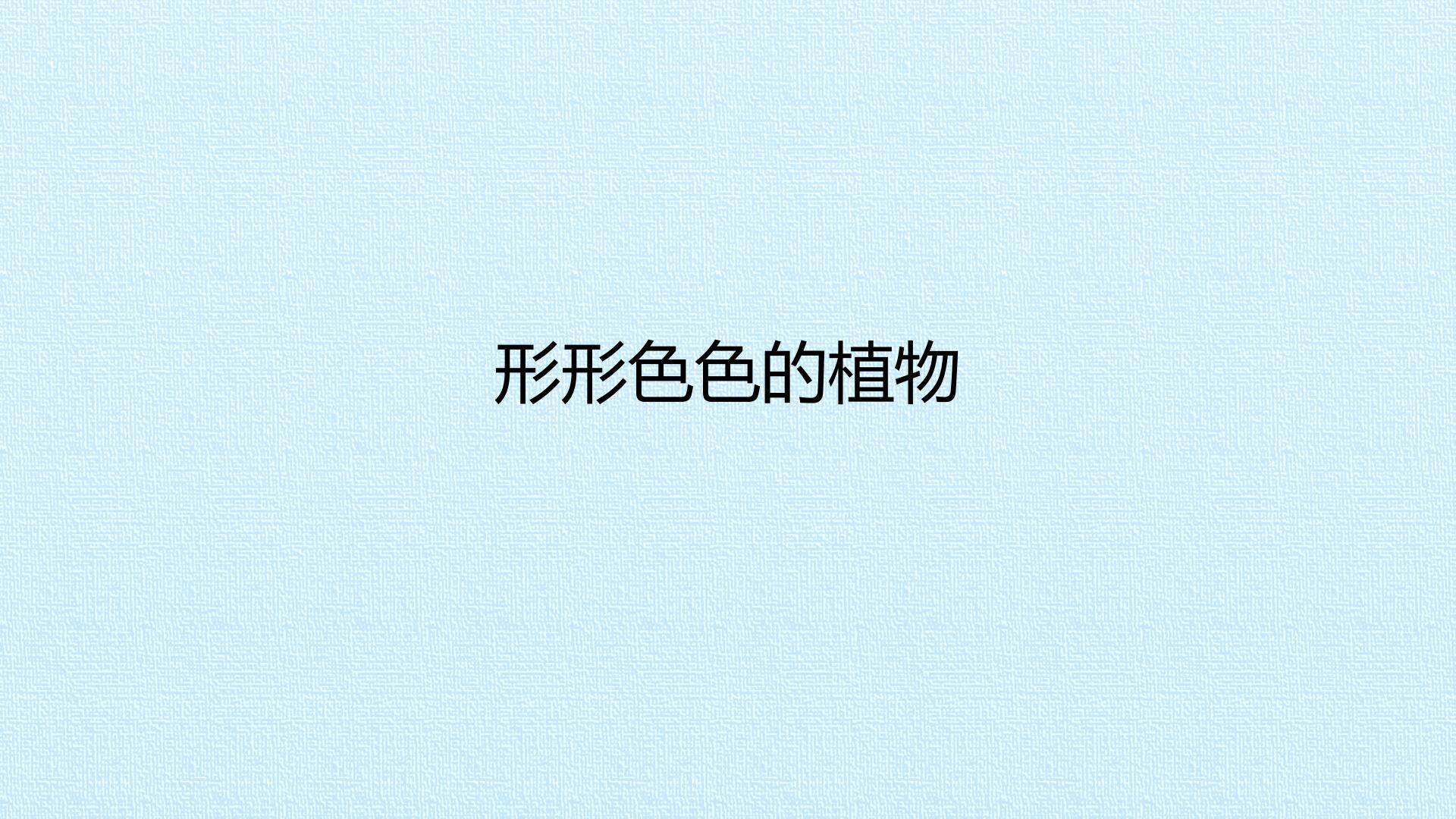 形形色色的植物_课件1