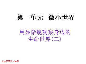 用显微镜观察身边的生命世界(二)课件4