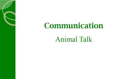 Animal Talk_课件1