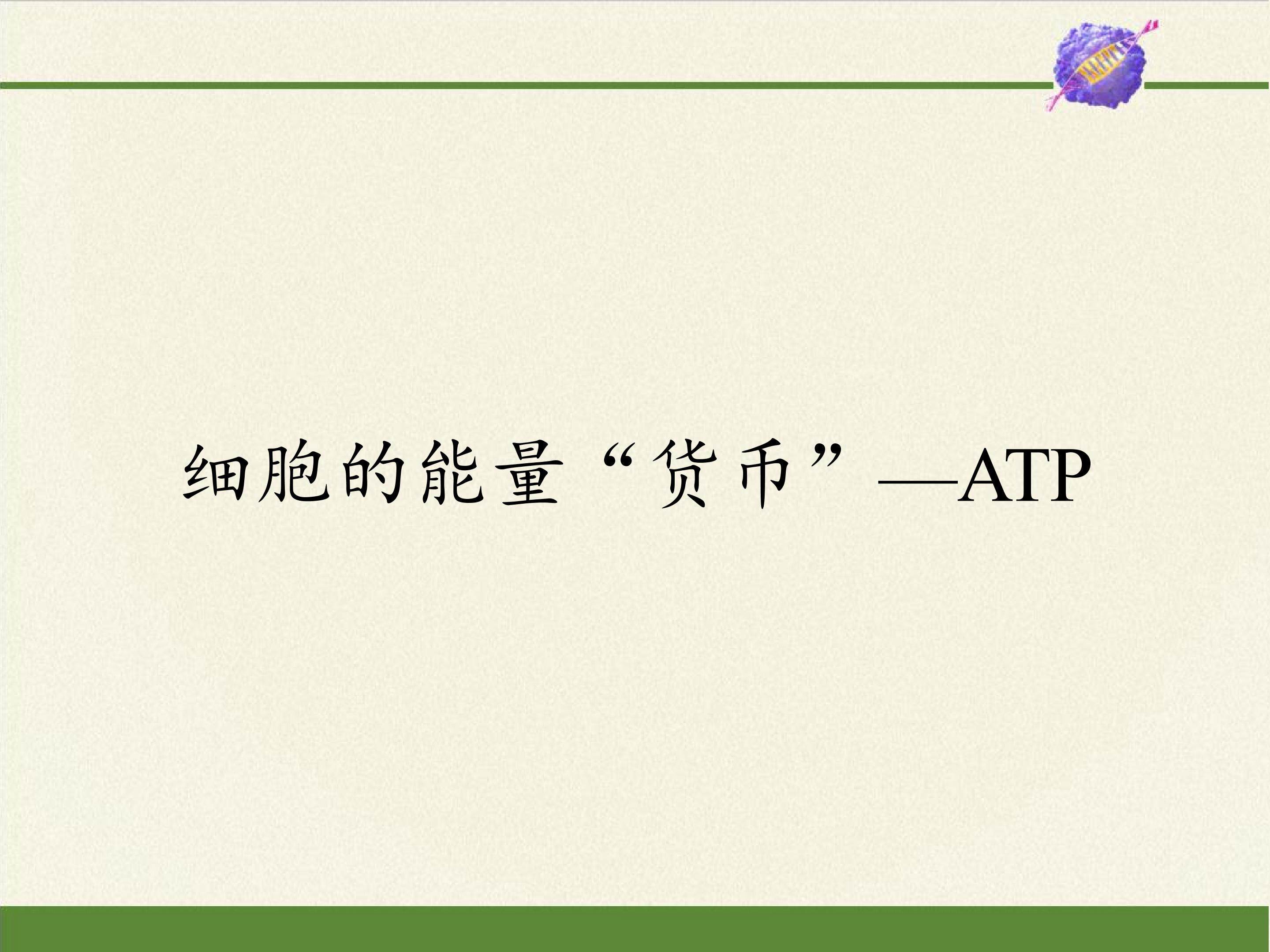 细胞的能量“货币”——ATP