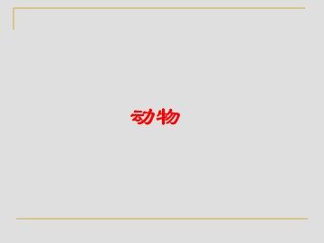 动物_课件1