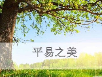 平易之美_课件1