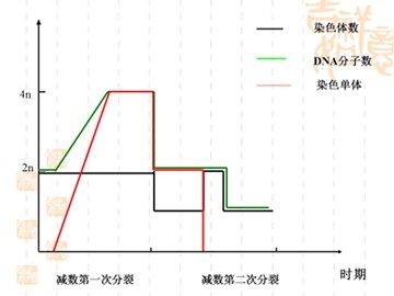 江涛的疑问