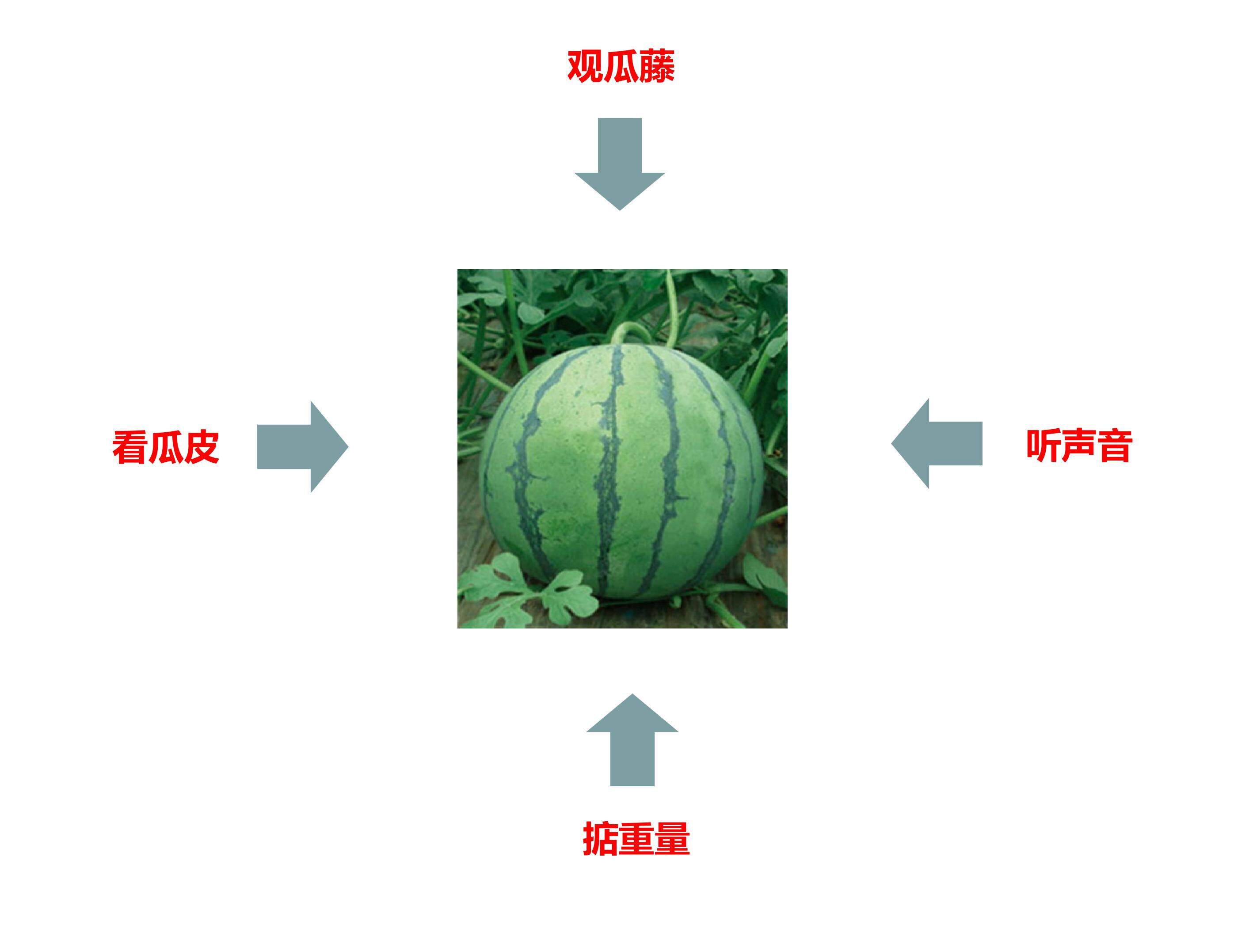 黑箱方法