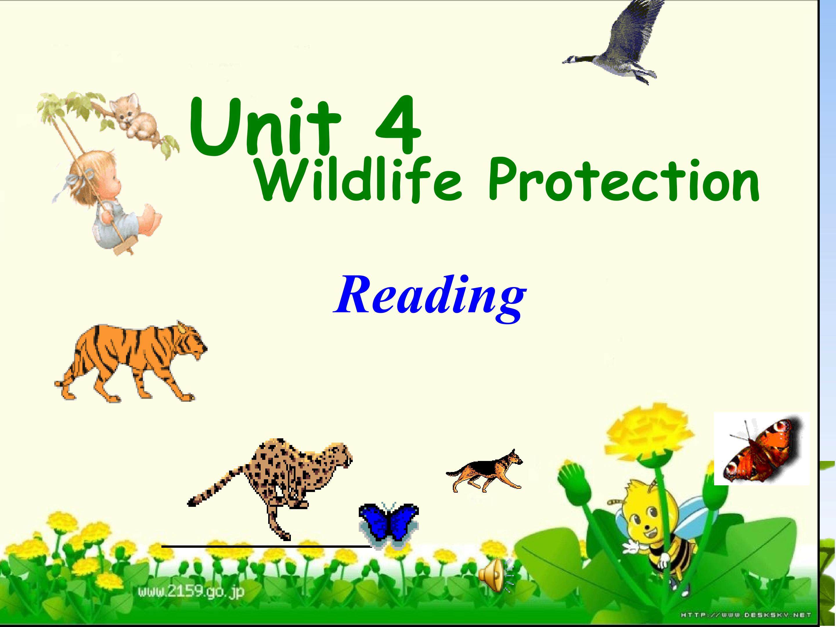 必修二unit4 wildlife protection
