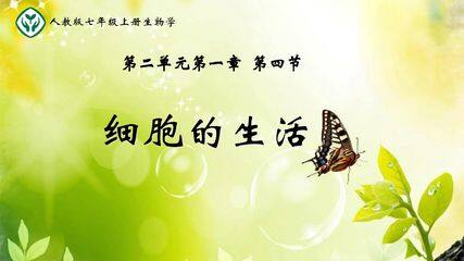 细胞的生活