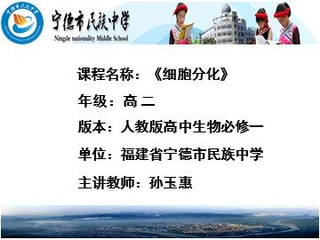 细胞分化