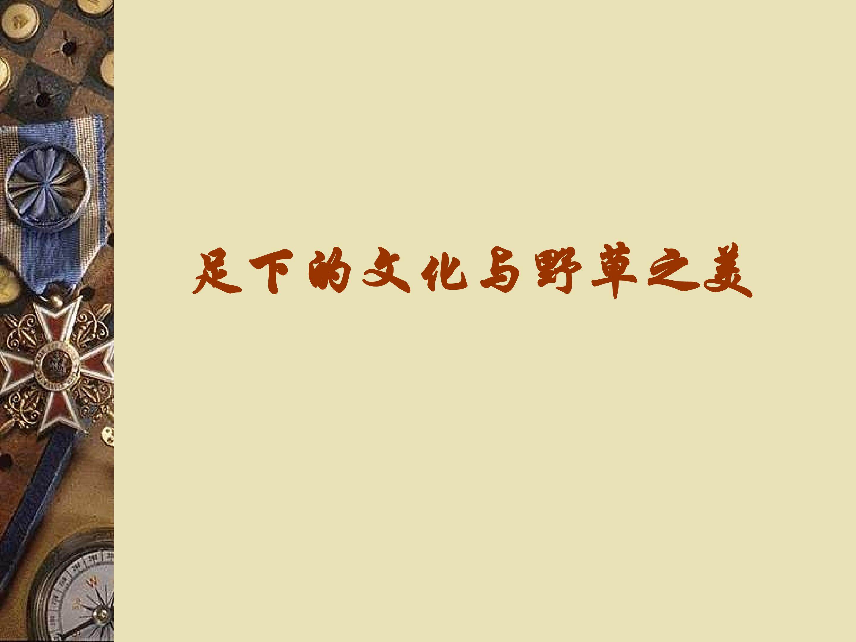足下的文化与野草之美_课件1