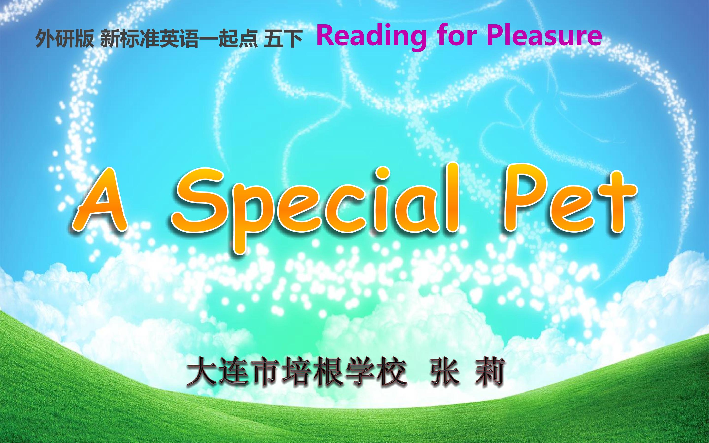 A Special Pet 课件