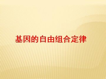 第2节  孟德尔的豌豆杂交实验（二）