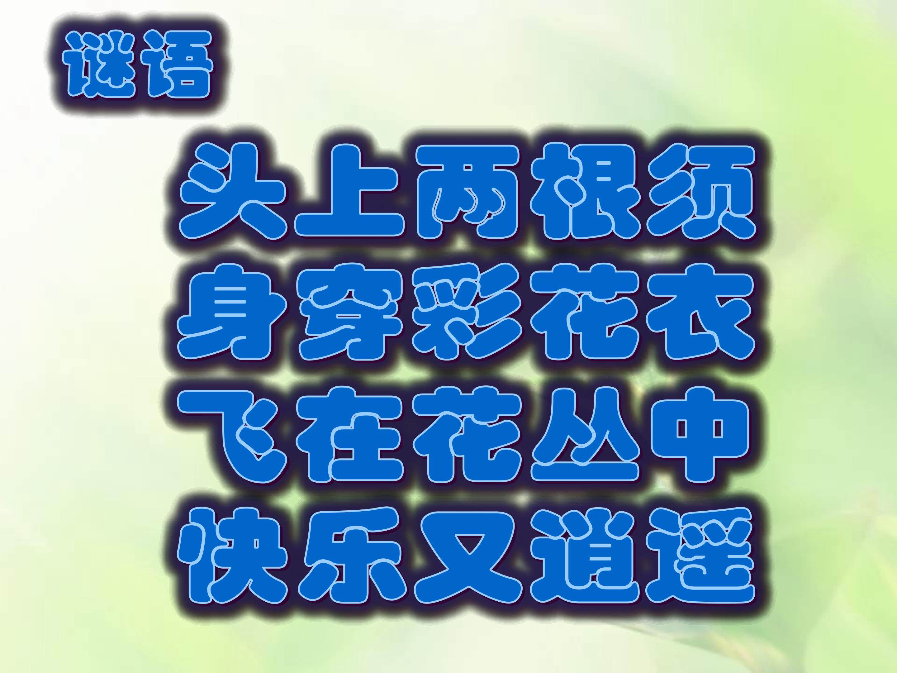 我和昆虫