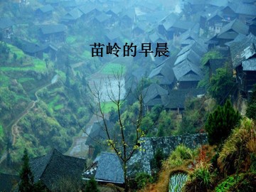 苗岭的早晨_课件1