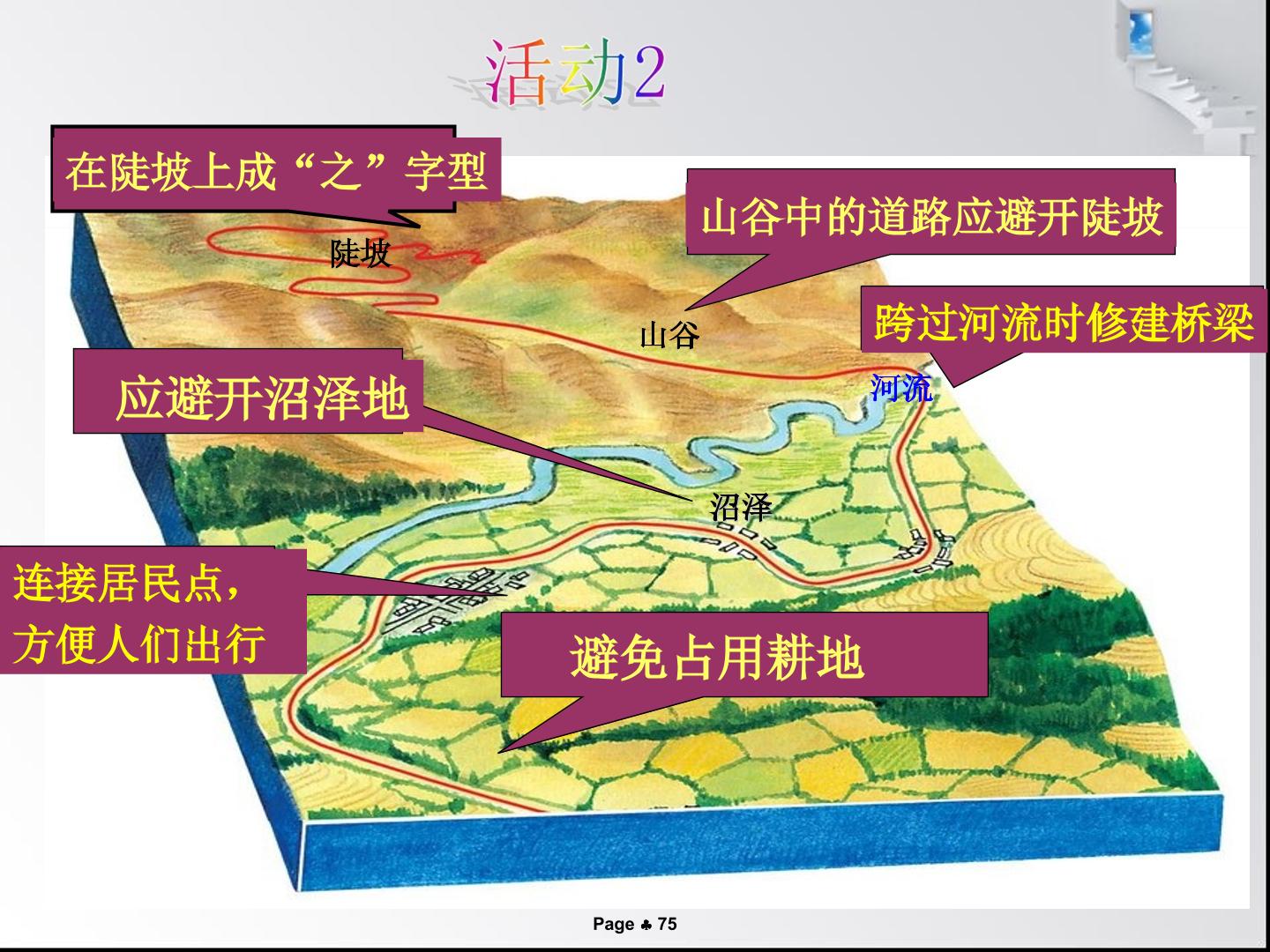 75.jpg
