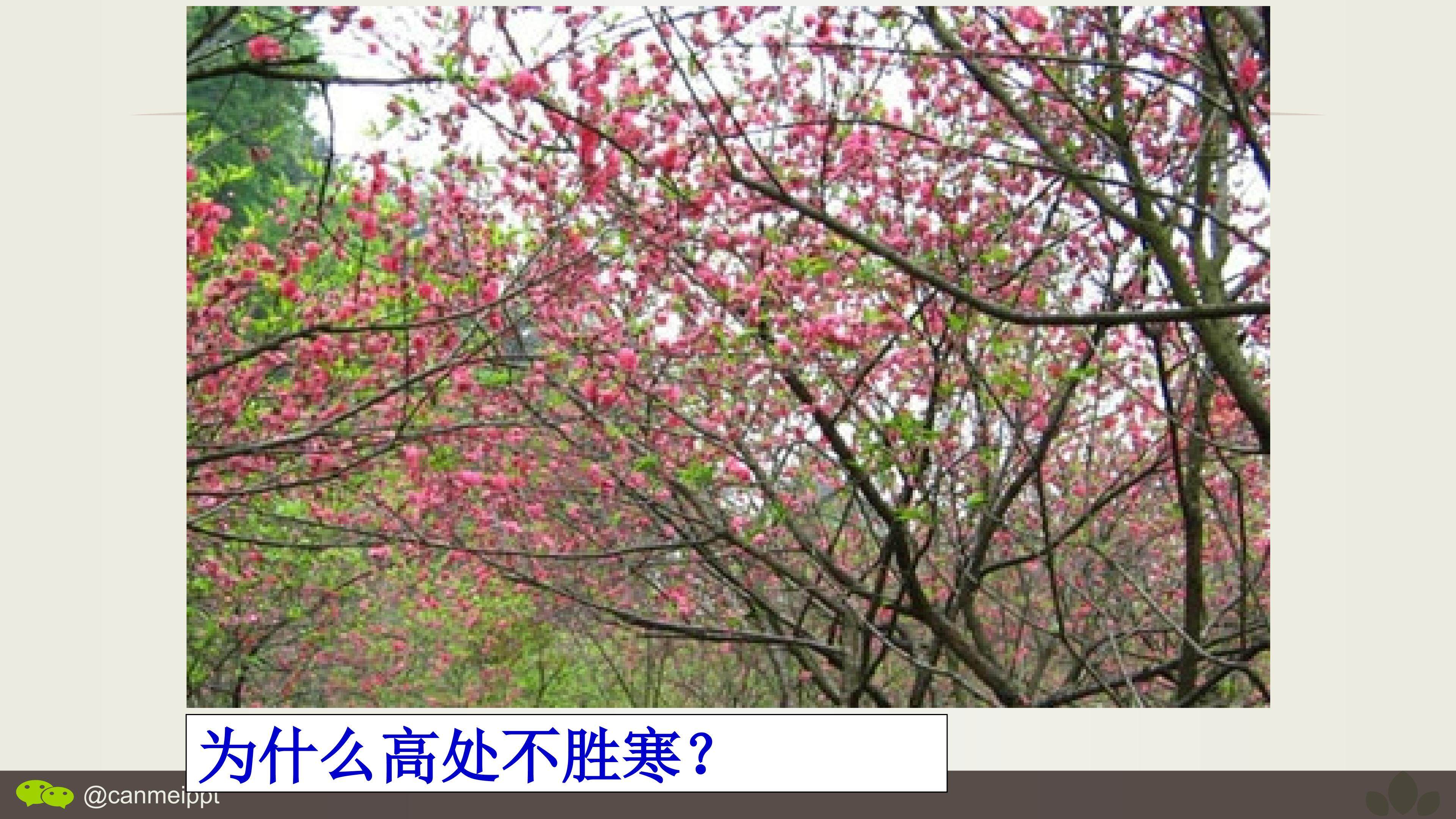 冷热不均引起的大气运动
