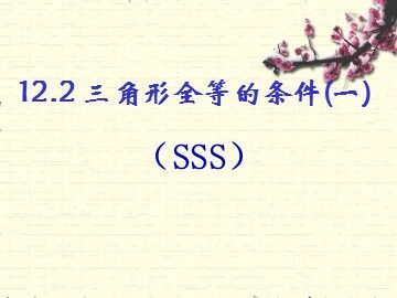 信息技术应用   探究三角形全等的条件