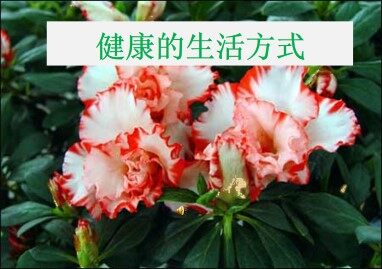 健康的生活方式_课件1