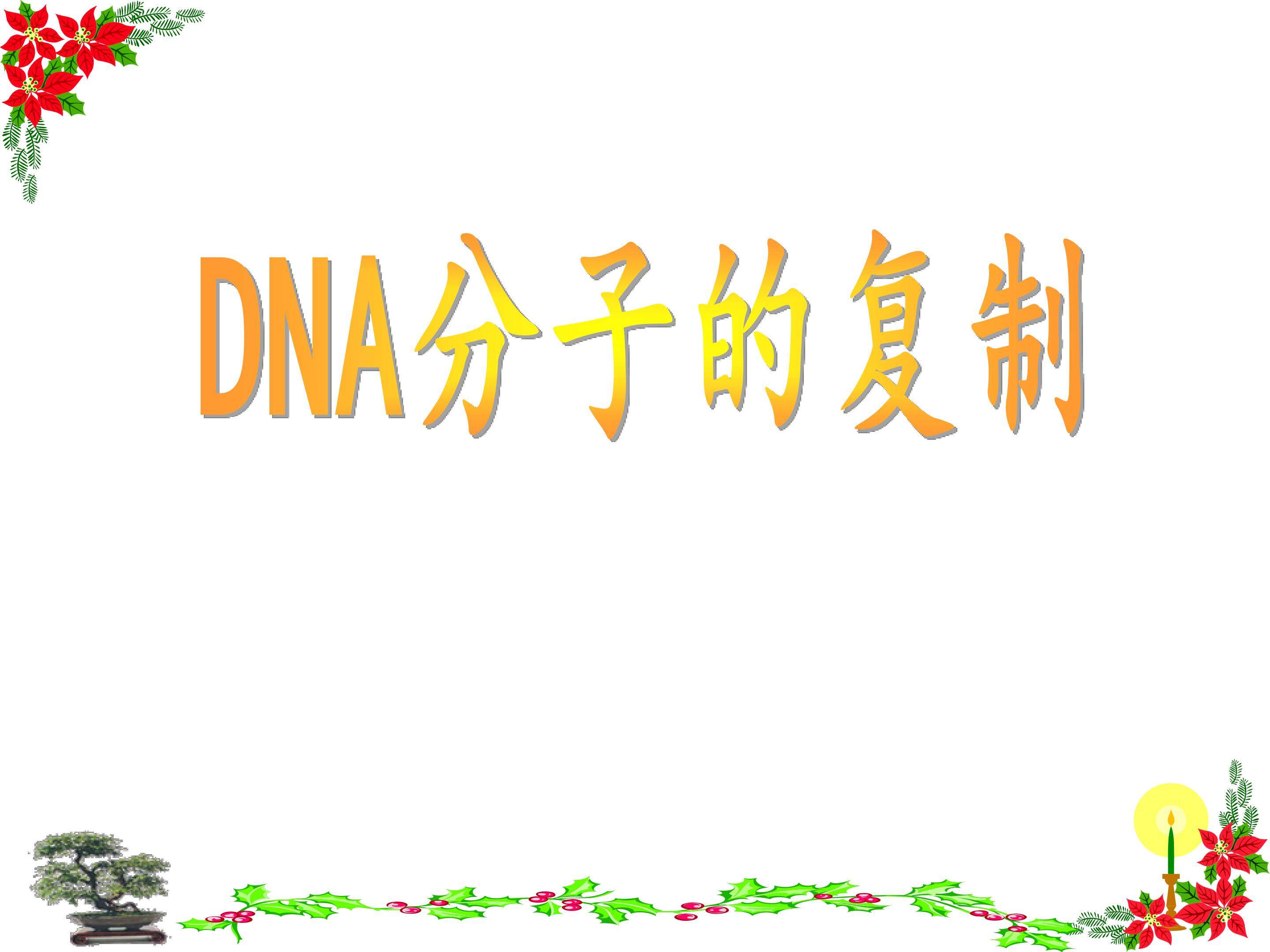 DNA分子的复制_课件1