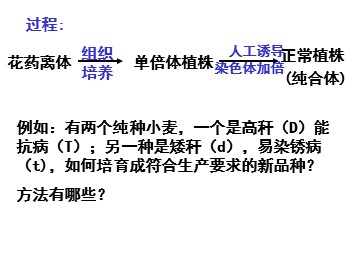 生物高中必修2第五章第三节课件2