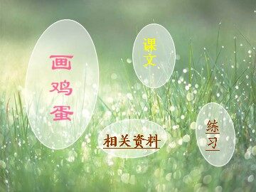 6 画鸡蛋