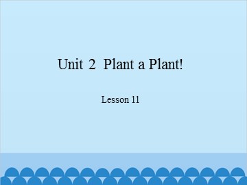 Unit 2  Plant a Plant! Lesson 11_课件1