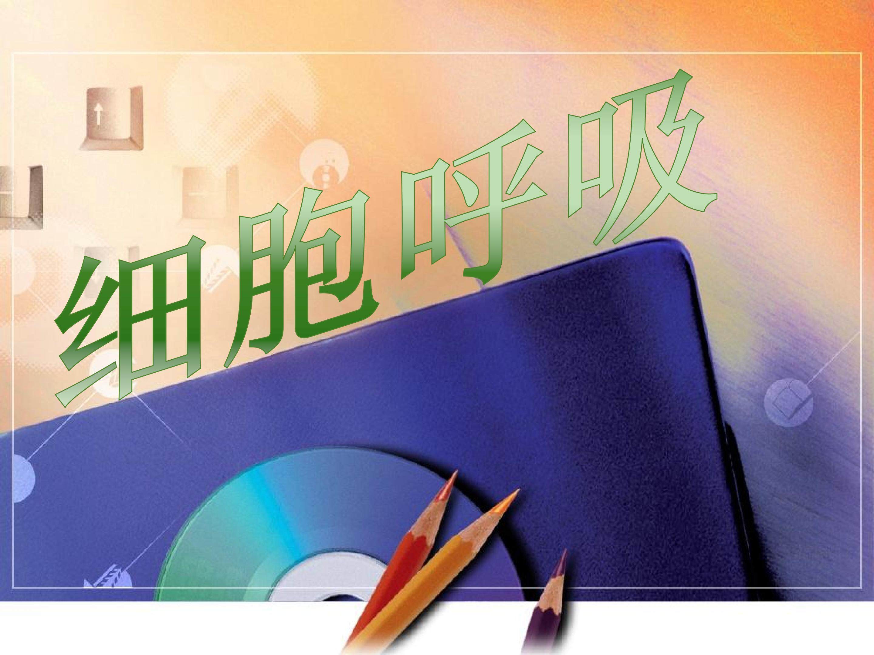 《细胞呼吸》PPT