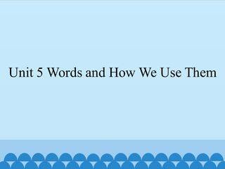 Unit 5 Words and How We Use Them_课件1