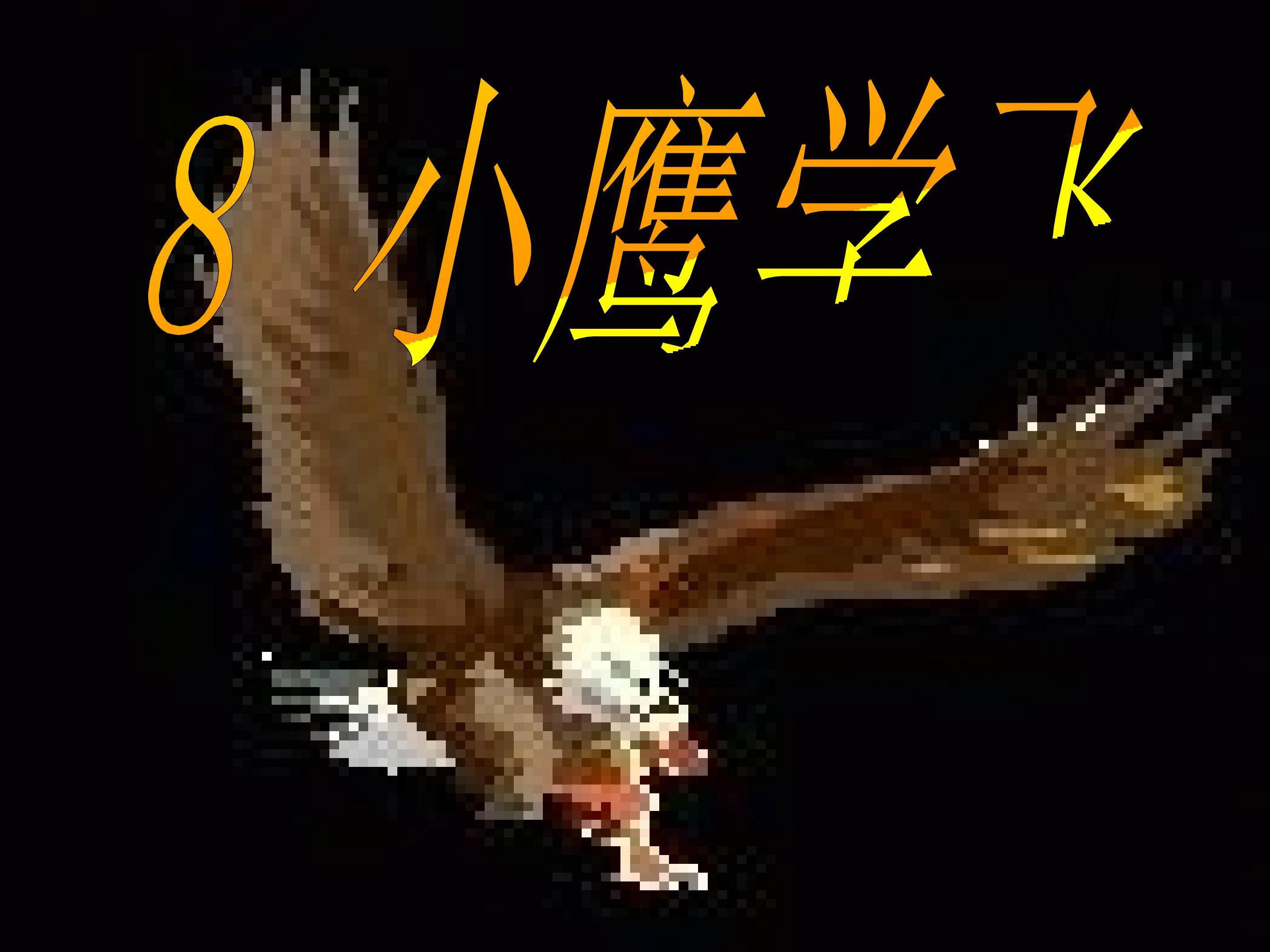 小鹰学飞
